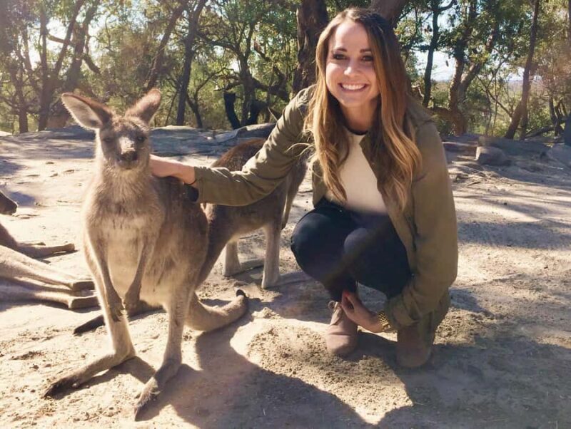 From Haymarket: Hunter Valley Wine and Wildlife Day Trip - An In-Depth Look at What This Tour Offers