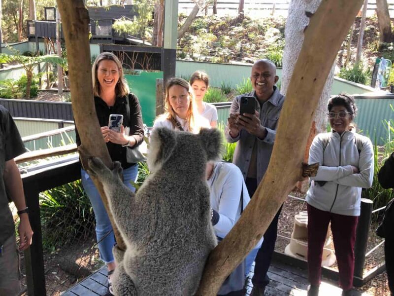 From Haymarket: Hunter Valley Wine and Wildlife Day Trip - FAQs