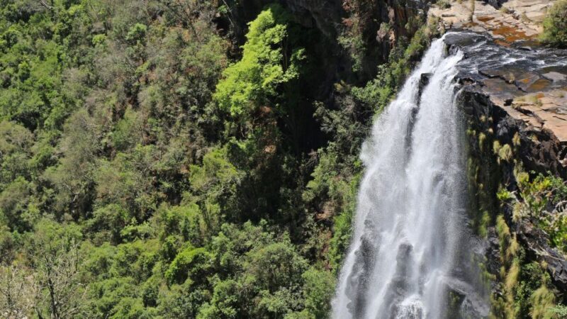 From Hazyview: Blyde River Canyon Highlight & Boat Cruise - Starting the Journey: Hotel Pickup and Initial Impressions