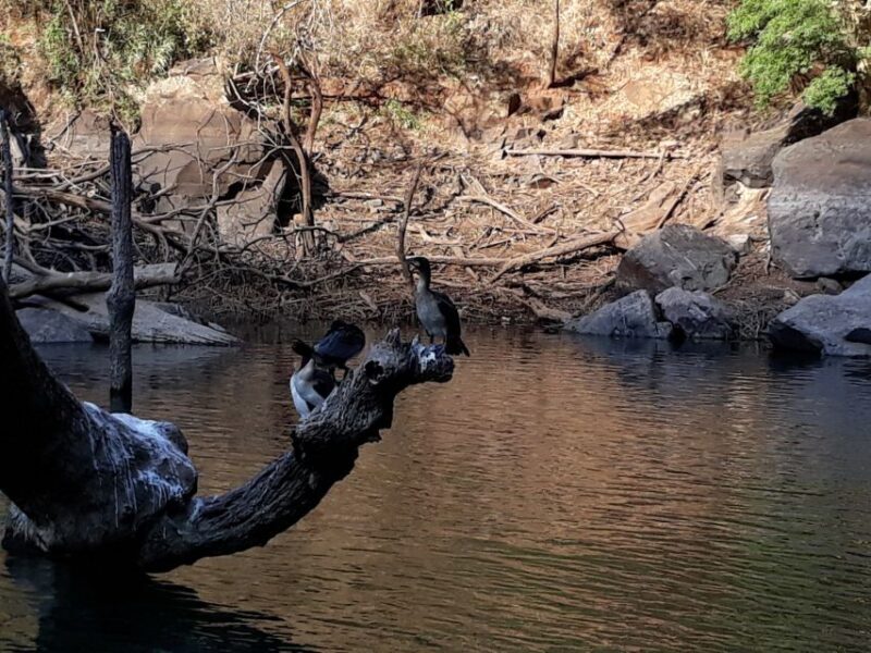 From Hazyview: Blyde River Canyon Highlight & Boat Cruise - The Boat Cruise at Swadini Aventura