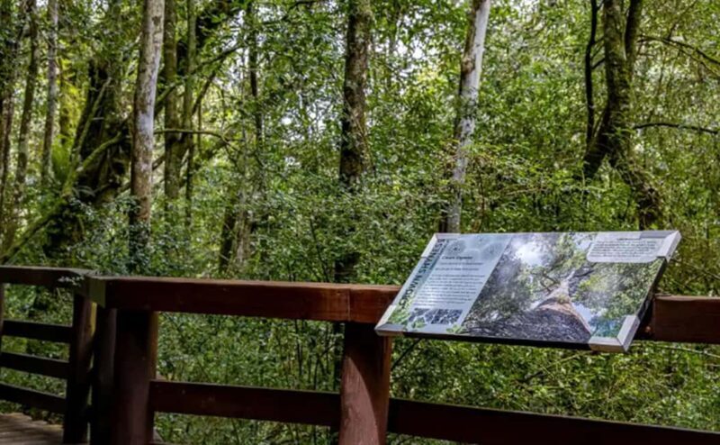 From Hazyview: Full-Day Guided Panorama Tour - Key Points