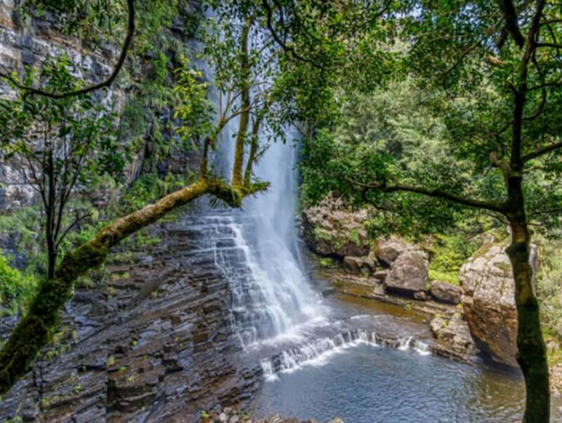 From Hazyview: Full-Day Guided Panorama Tour - Authentic Experiences and Traveller Feedback