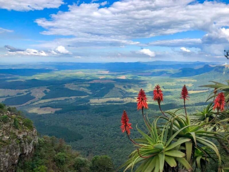 From Hazyview: Full-Day Guided Panorama Tour - Final Thoughts: Who Is This Tour For?