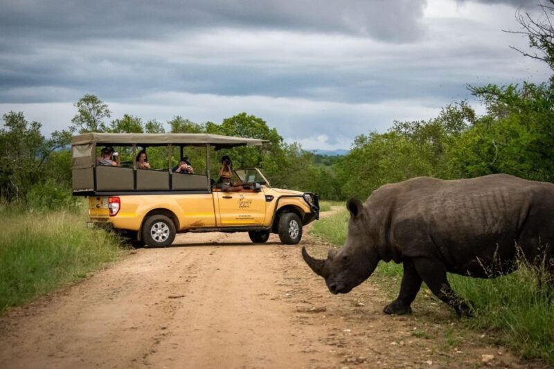 From Hazyview: Kruger National Park Morning Half-Day Safari - Key Points