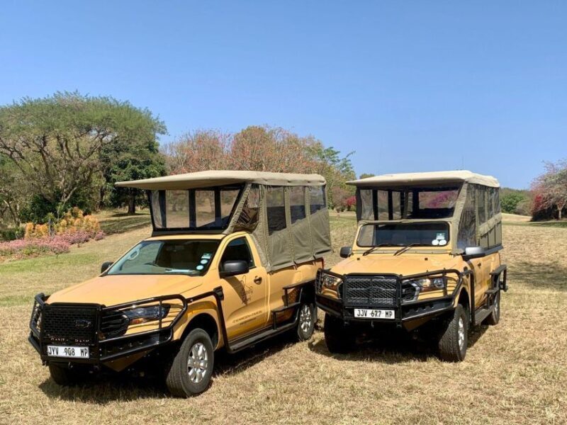 From Hazyview: Kruger National Park Morning Half-Day Safari - Final Thoughts