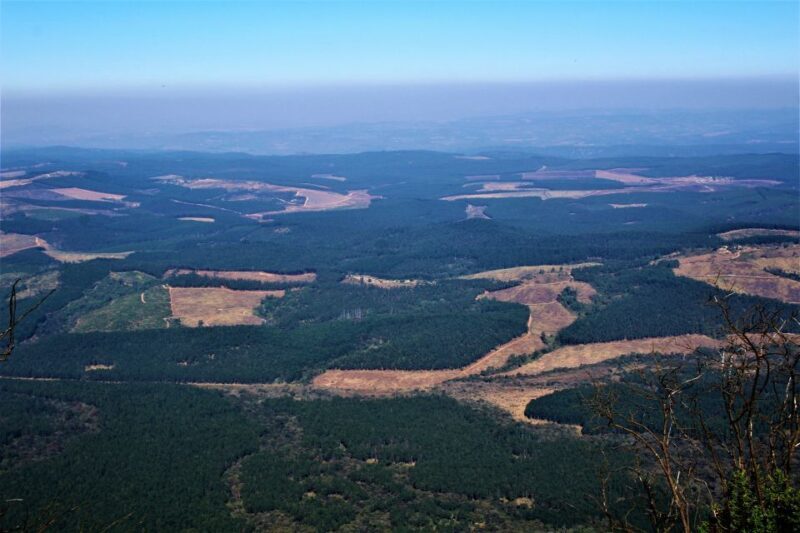From Hazyview: Panorama Tour Highlights - Introduction: Is This the Right Tour for You?