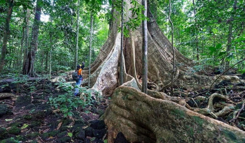 From HCM: Cat Tien Park Jungle Day Trip with Optional 2D1N - FAQ