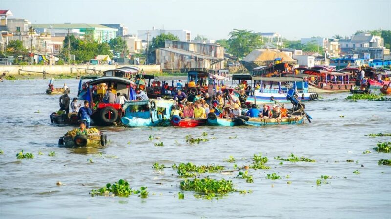 From HCM City: Mekong Delta Dong Thap Sa Dec 1 Day Tour - Final Thoughts