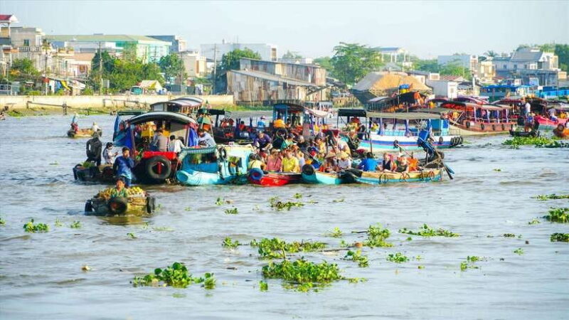 From HCM: Mekong Delta 4D3N Chau Doc Can Tho Ca Mau Bac Lieu - Who Should Consider This Tour?