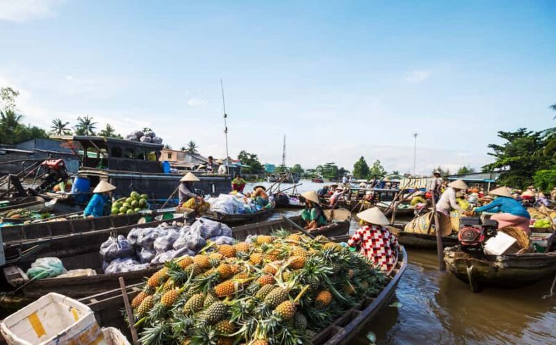 From HCM: Mekong Delta & Cai Rang Floating Market 2-Day Tour - Introduction