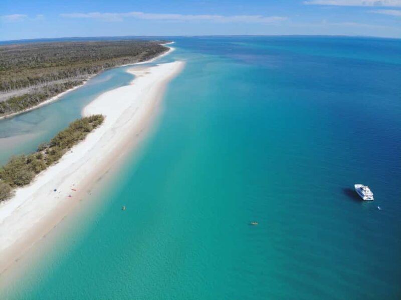 From Hervey Bay: Half-Day K'gari Fraser Island Beach Cruise - What Reviewers Say