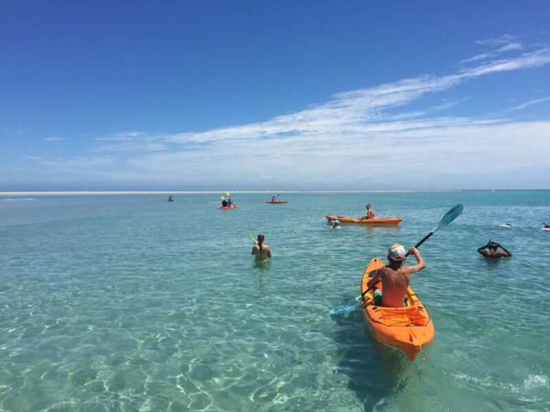 From Hervey Bay: Half-Day K'gari Fraser Island Beach Cruise - Final Thoughts