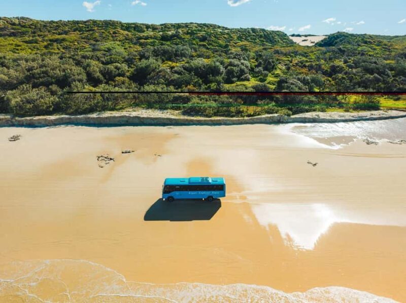 From Hervey Bay: K'Gari 3 Day Getaway + Illumina - The Sum Up