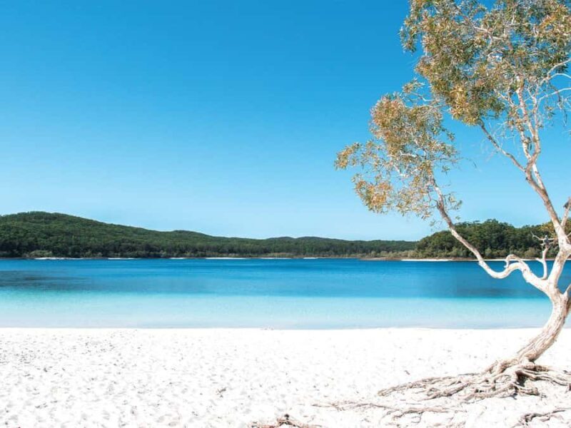 From Hervey Bay: K'Gari 4 Day Experience + Illumina - Key Points