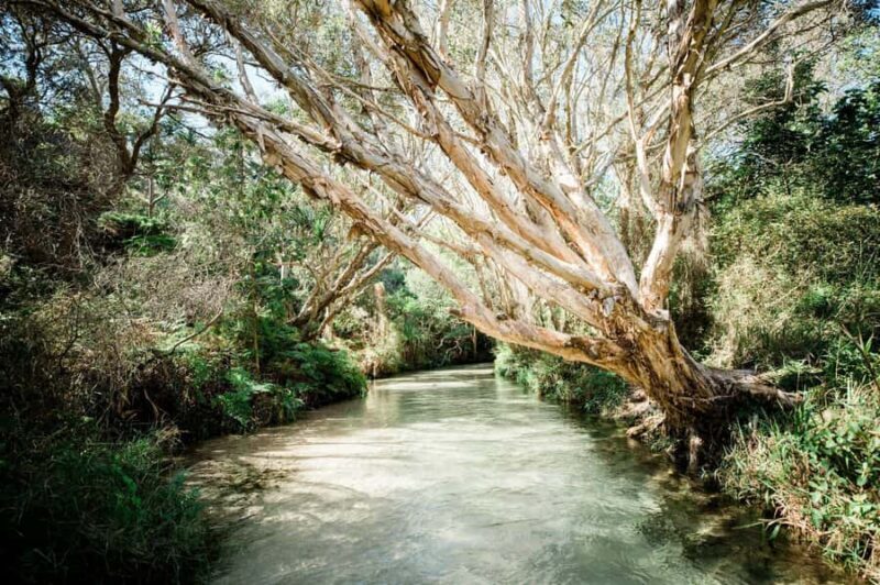 From Hervey Bay: K'Gari 4 Day Experience + Illumina - FAQs