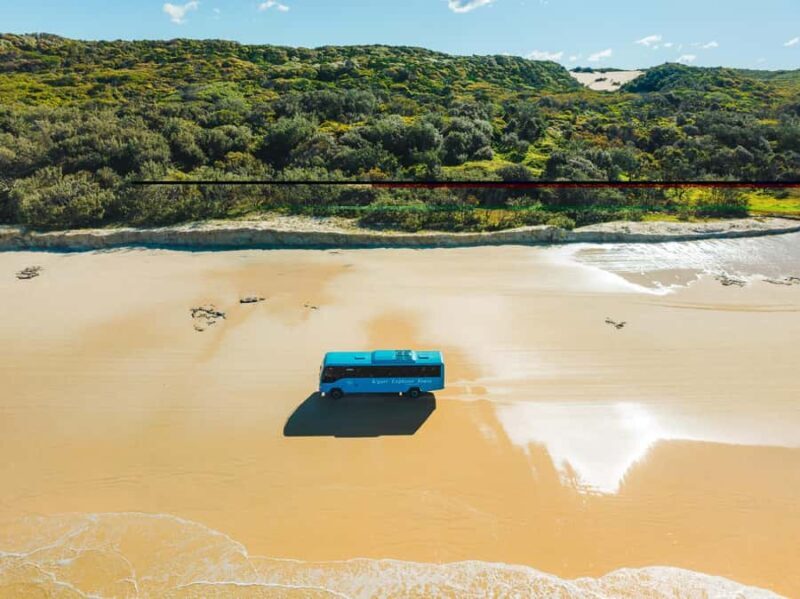 From Hervey Bay: K'gari, Fraser Island Full-Day Coach Tour - What the Reviews Say