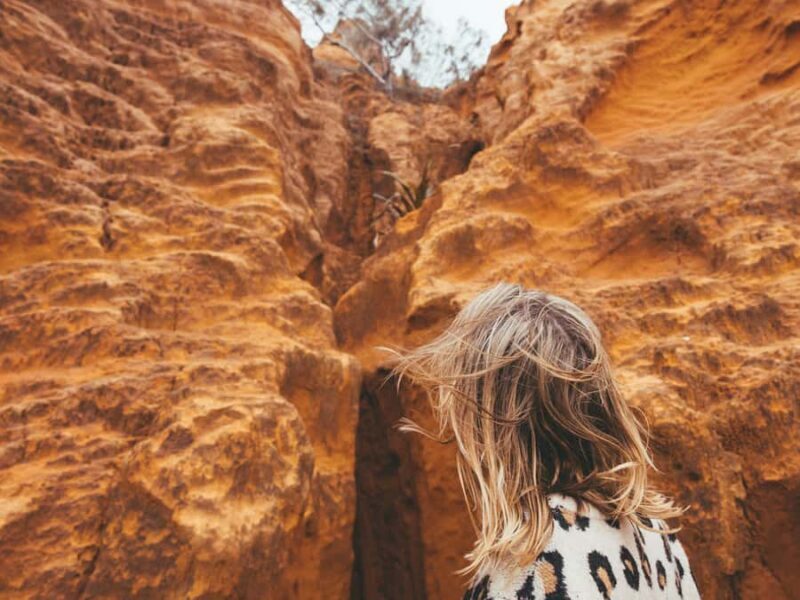 From Hervey Bay: K'gari, Fraser Island Full-Day Coach Tour - Frequently Asked Questions