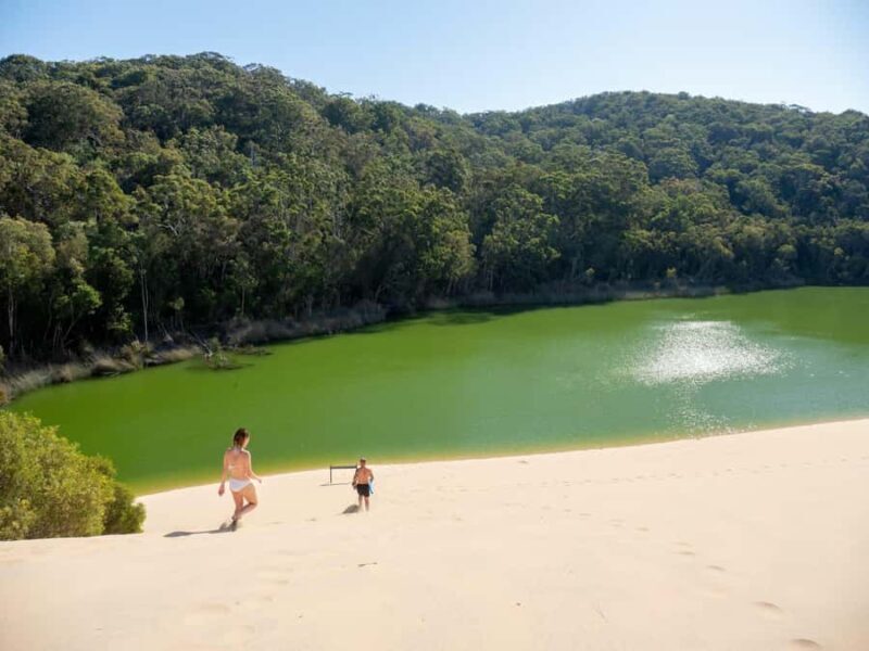 From Hervey Bay: K'gari, Fraser Island Two-Day Coach Tour - Introduction to the Experience