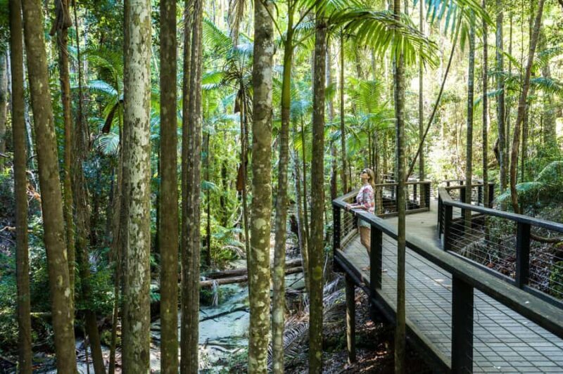 From Hervey Bay: K'gari, Fraser Island Two-Day Coach Tour - The Accommodation and Logistics