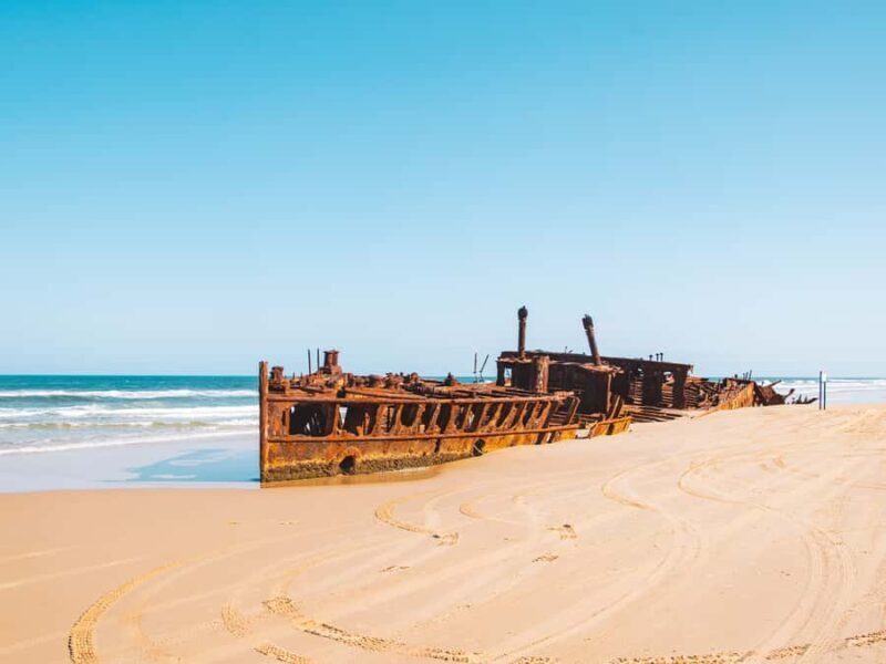 From Hervey Bay: K'gari, Fraser Island Two-Day Coach Tour - Final Thoughts: Why Choose This Tour?