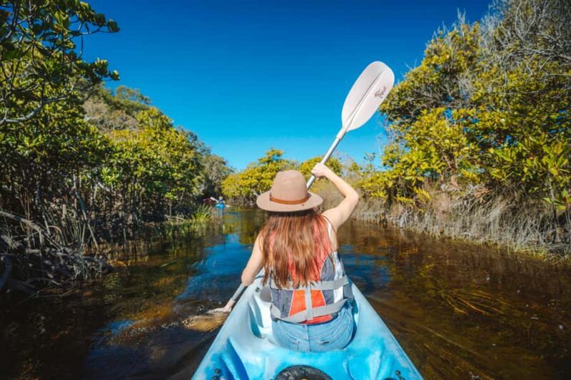 From Hervey Bay: Remote K'gari Tour by Boat with Lunch - A Detailed Look at the Hervey Bay: Remote K’gari Boat Tour