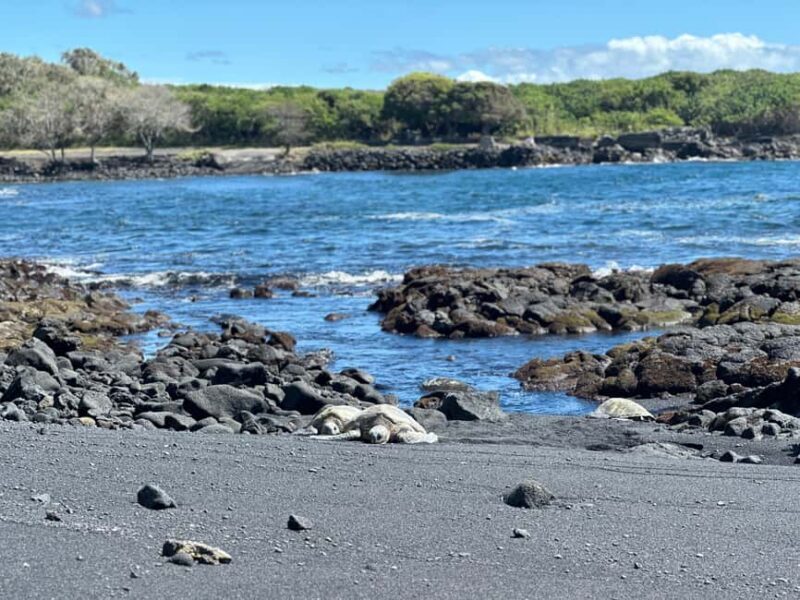 From Hilo: Guided Excursion with Volcanoes National Park - Final Thoughts: Is This Tour Worth It?