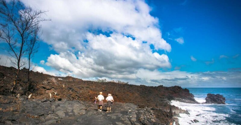 From Hilo: Kilauea Lava Flow Tour with Lunch and Dinner - A Detailed Look at the Tour Experience