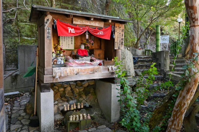 From Hiroshima: Rabbit Island and Takehara Town Tour - Final Thoughts