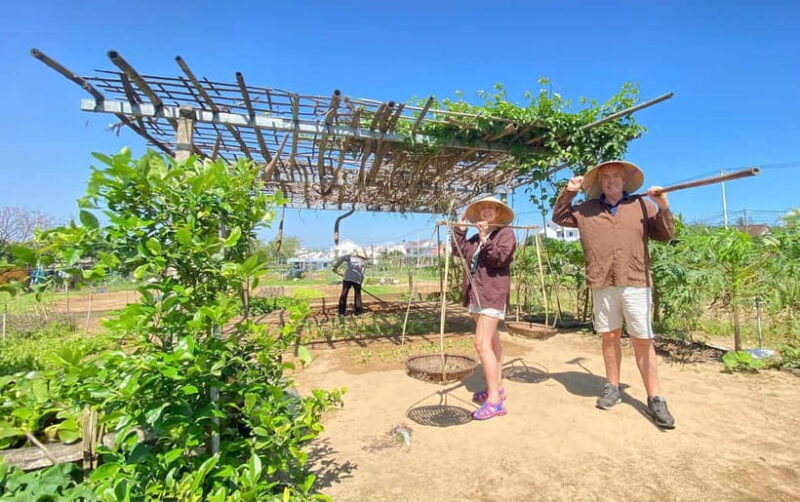 From Ho Chi Minh 10-Day Discover Mekong & Central by Train - Who Would Love This Tour?