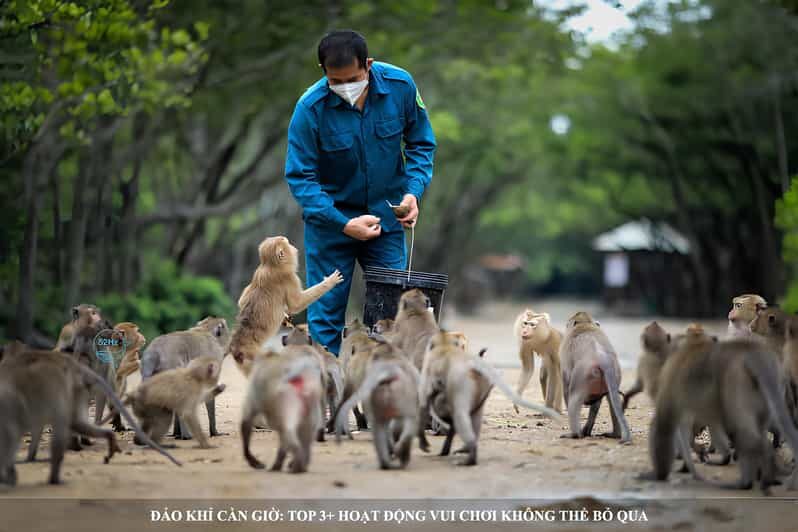 From Ho Chi Minh: Can Gio Mangrove Forest & Monkey Island - Analyzing the Value