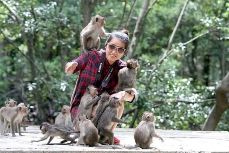 From Ho Chi Minh: Can Gio Monkey Island & Mangrove Tour - What Travelers Need to Know
