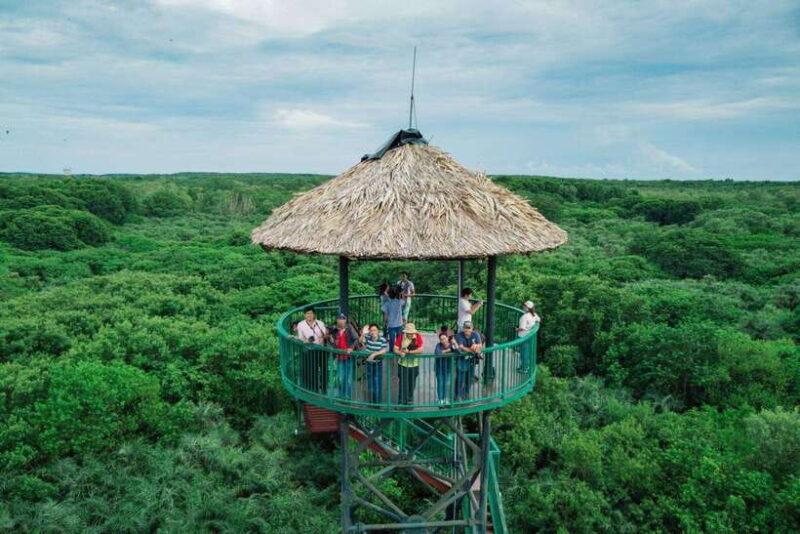 From Ho Chi Minh City: Can Gio Mangrove Forest Day Tour - Overview of the Can Gio Mangrove Forest Day Tour