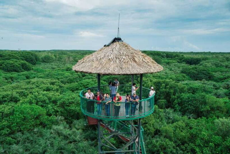 From Ho Chi Minh City: Can Gio Mangrove Forest Day Tour - Final Thoughts