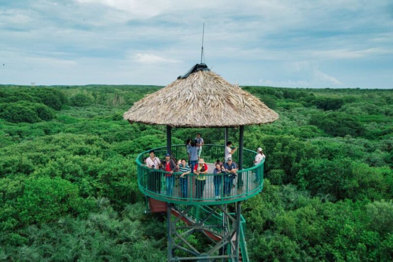 From Ho Chi Minh City: Can Gio Mangrove Guided Forest Tour - Who Will Love This Tour?