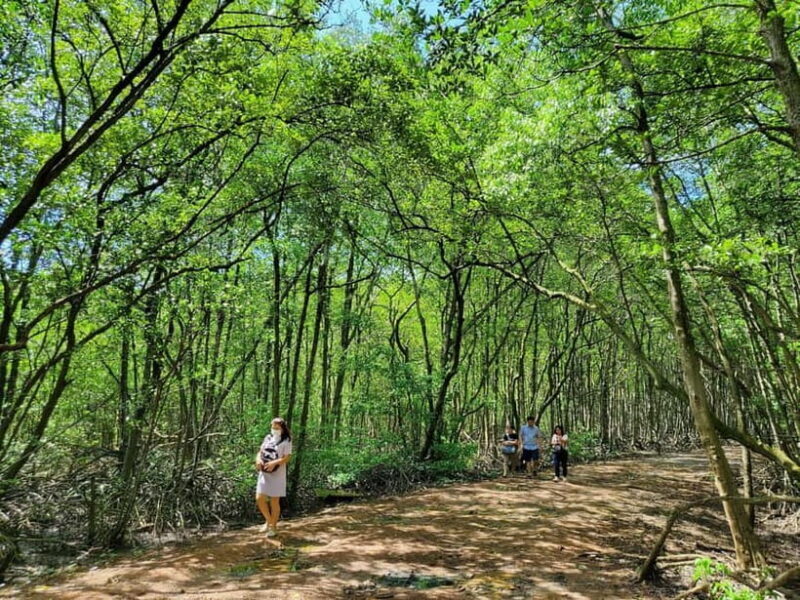 From Ho Chi Minh City: Can Gio Mangrove & Monkey Island Trek - Real Traveler Feedback and What They Loved