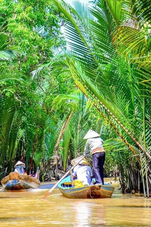 From Ho Chi Minh City: Visit Mekong Delta & Ben Tre In 1 Day - Final Thoughts