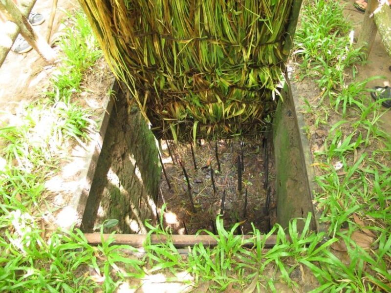 From Ho Chi Minh: Cu Chi Tunnels - A Half-Day Trip - Exploring the Cu Chi Tunnels: What to Expect