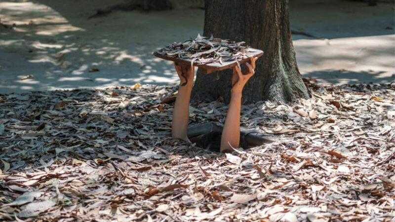 From Ho Chi Minh: Cu Chi Tunnels and Mekong Delta 3-Day Tour - Key Points