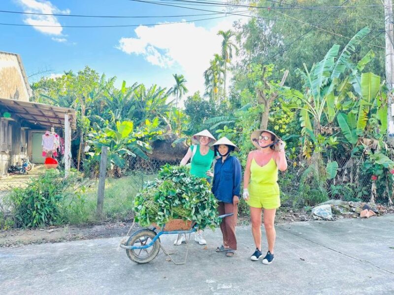 From Ho Chi Minh: Explore Mekong Delta & Vinh Trang Pagoda - The Experience’s Strengths and Minor Limitations