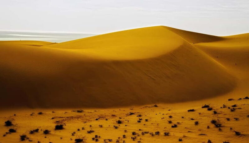 From Ho Chi Minh: Explore the Mui Ne Sand Dunes In 1 Day - Final Thoughts: Who is This Tour Best For?