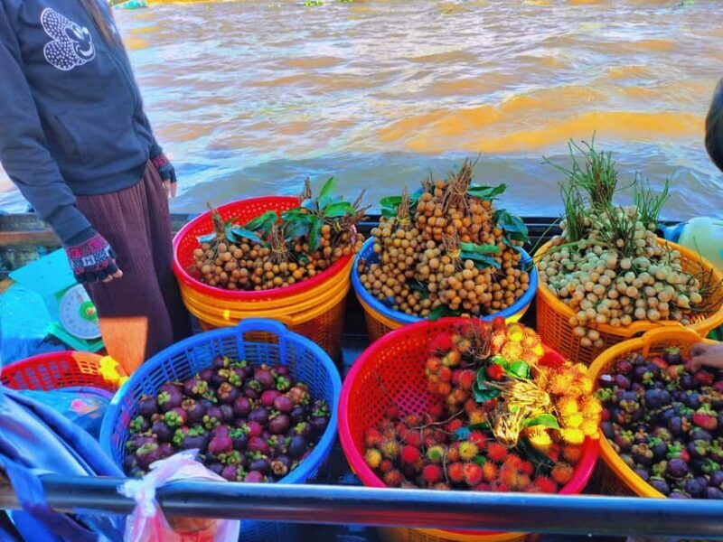 From Ho Chi Minh: Mekong 2-Day Tour Cai Rang Floating Market - What to Expect on Your Mekong Adventure