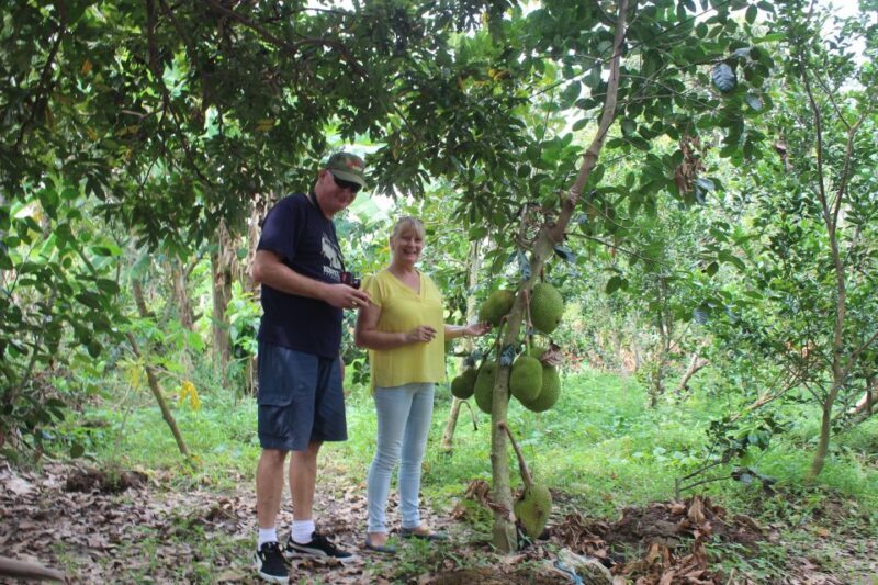 From Ho Chi Minh: Mekong Delta Private Day Tour - Who Should Consider This Tour?
