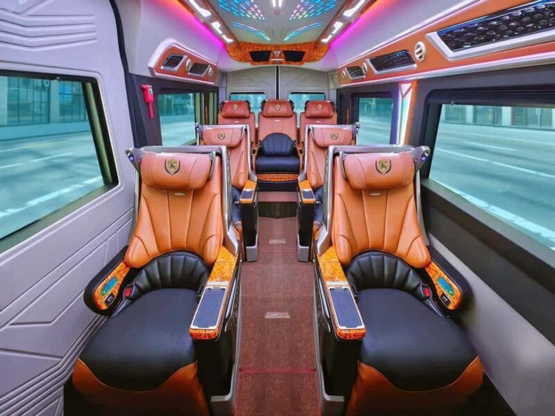 From Ho Chi Minh: Mekong Delta Tour| Vip Limousine Option - An introduction to the experience