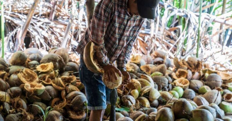 From Ho Chi Minh: Mekong Delta with Ben Tre 1 Day Tour - An In-Depth Look at the Mekong Delta Tour