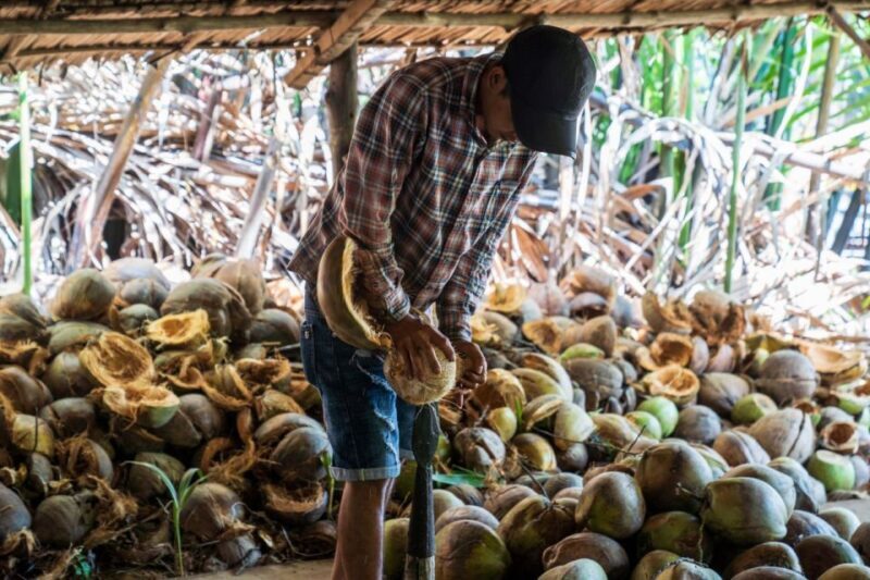From Ho Chi Minh: Mekong Delta with Ben Tre 1 Day Tour - Who Should Consider This Tour?