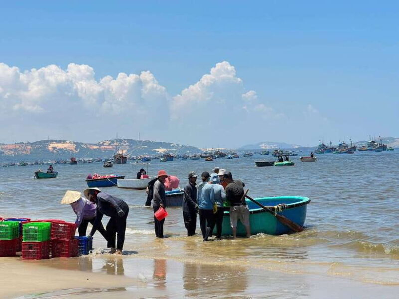 From Ho Chi Minh: Mui Ne and Phan Thiet Day Trip - The Sum Up: Is This Tour Right for You?