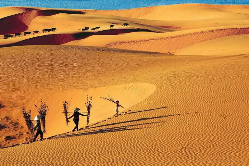 From Ho Chi Minh: Mui Ne White Sand Dunes Day Trip - Exploring the White Sand Dunes and Beyond
