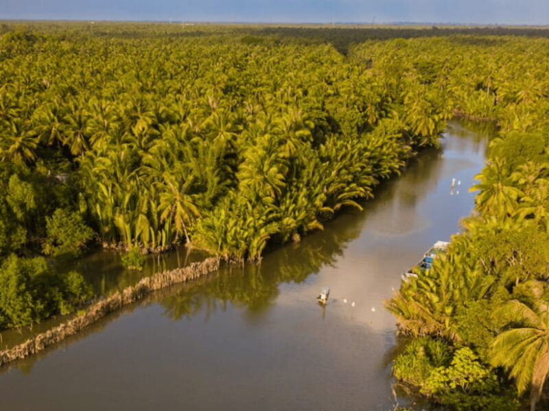 From Ho Chi Minh: My Tho Ben Tre Mekong with Lunch - A Detailed Breakdown of the Tour Experience