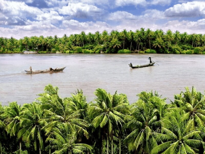 From Ho Chi Minh: My Tho Ben Tre Mekong with Lunch - Authenticity and Reviews