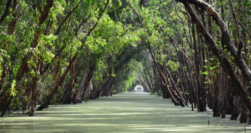 From Ho Chi Minh: Three-Day Mekong Delta Tour - Exploring the Itinerary in Detail